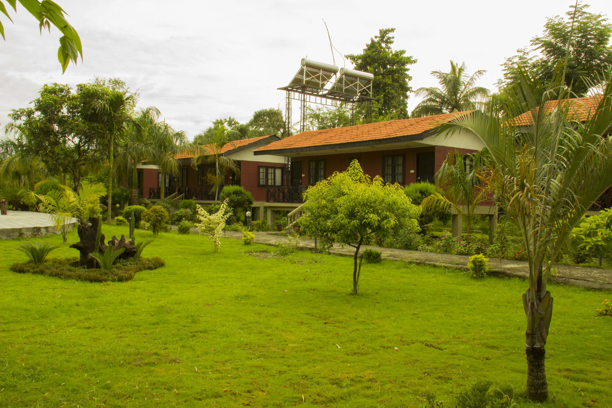 Jungle World Resort Sauraha Esterno foto