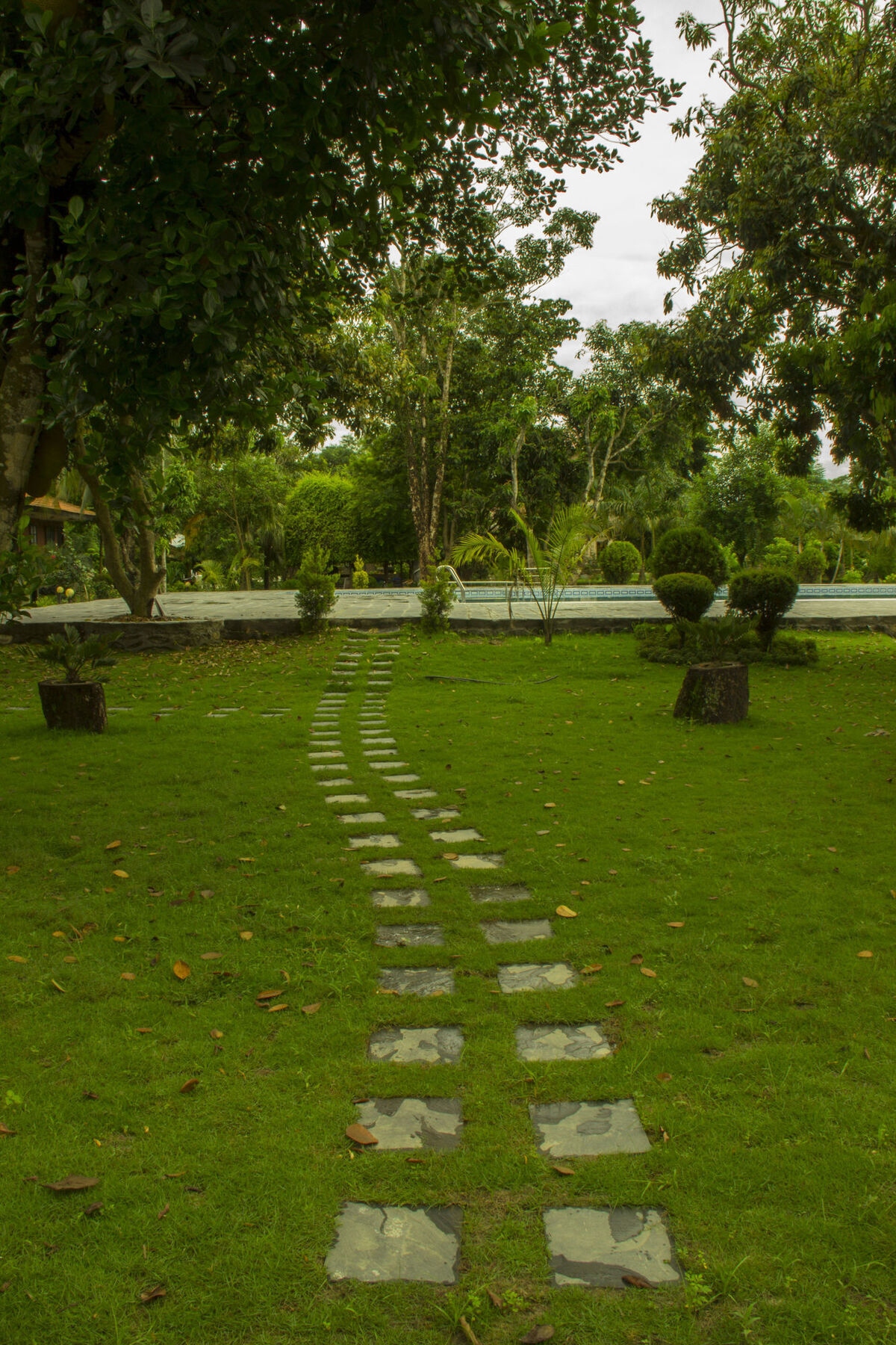 Jungle World Resort Sauraha Esterno foto